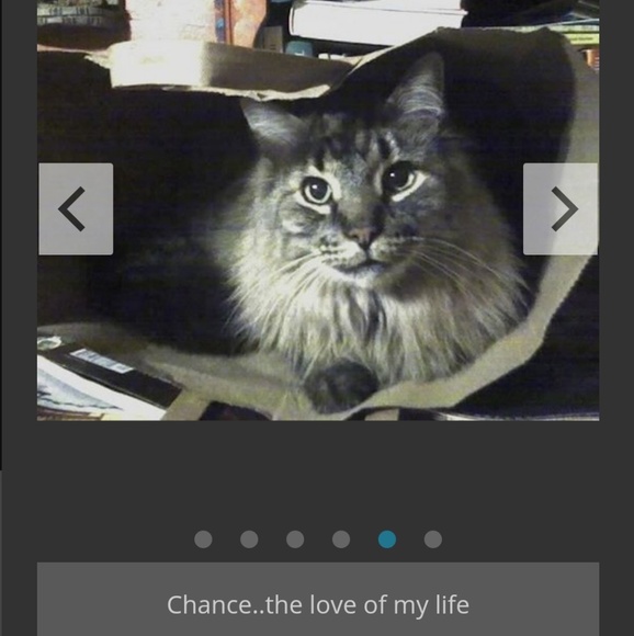 Meet your Posher, Brenda - Picture 9 of 13